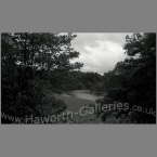 Haw-005