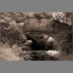 Haw-010