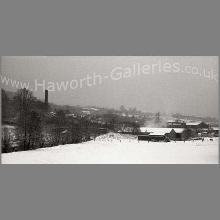 Haw-011