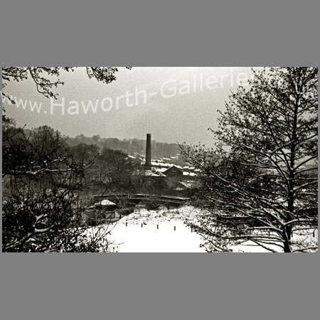 Haw-012