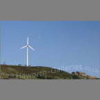 Haw-016