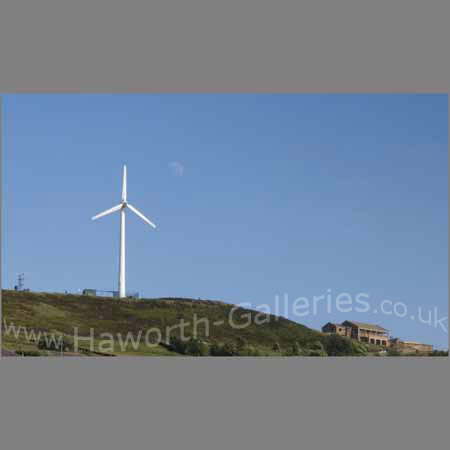 Haw-016