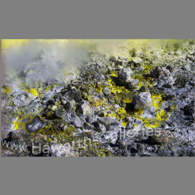 NZ-010