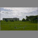 NZ-021