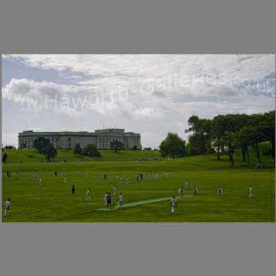 NZ-021