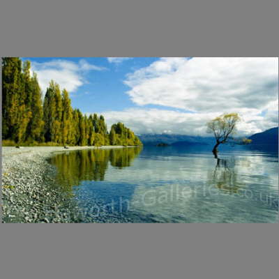 NZ-022