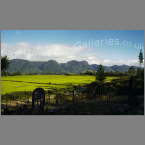 NZ-034