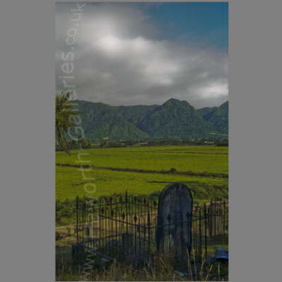 NZ-037