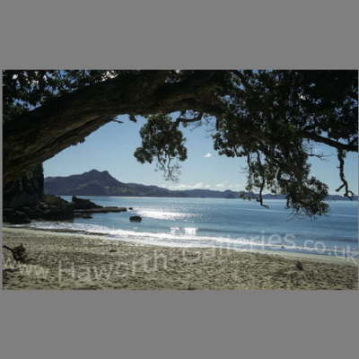 NZ-052