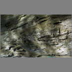 NZ-060