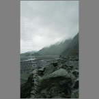 NZ-101